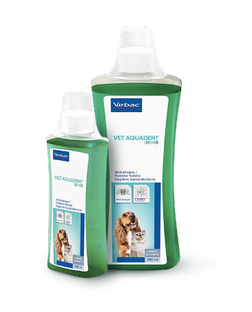 product-header-vetaquadent-dog.png