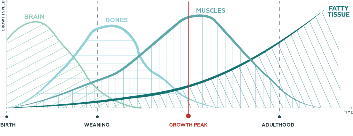 growth_infographic.png