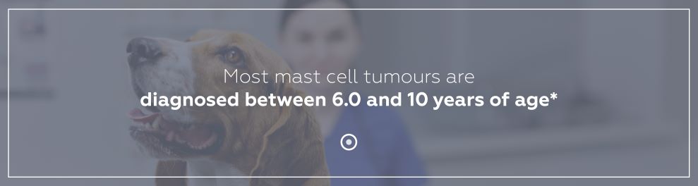 8234 VIR(S) Stelfonta Landing Page-3 resize.jpg