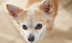 Pojďme si promluvit o klíšťatech!