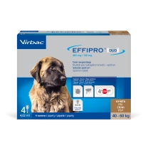 307493_Box_Effipro-Duo_Dog-XL-x4pip_face.png