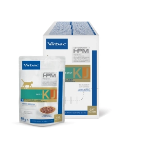 HPM Wet - early kidney cat