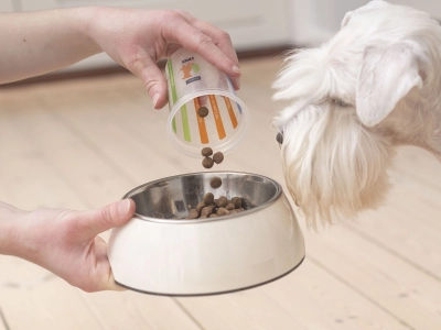 Dog_person pouring pet food in a bowl with white dog looking_indoor_with petowner_advice